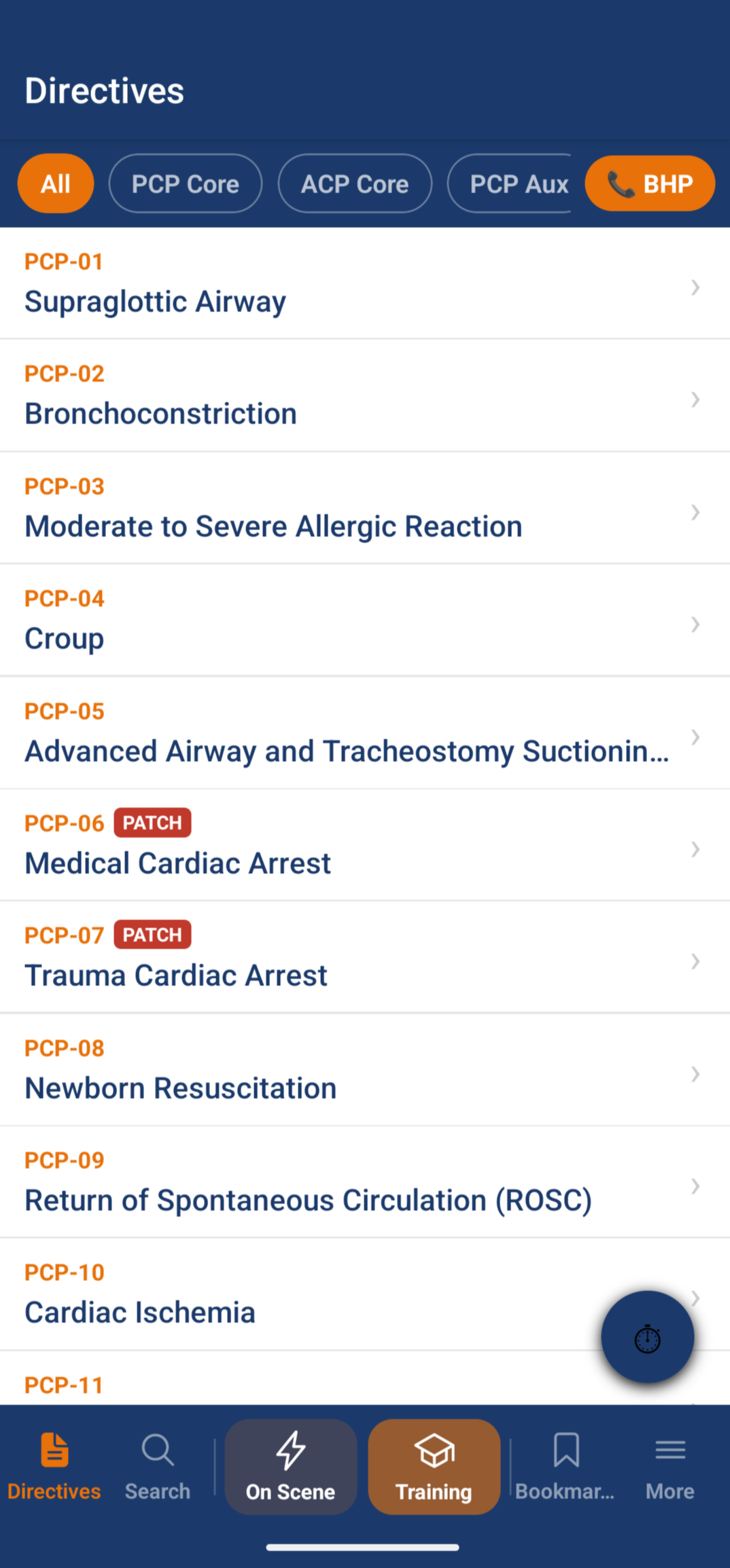 SceneWise directives list with filter bar and patch flags